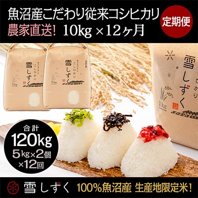 【毎月定期便】魚沼産こだわり従来コシヒカリ【合計120kg】毎月10kg全12回