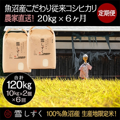 【毎月定期便】魚沼産こだわり従来コシヒカリ【合計120kg】毎月20kg全6回