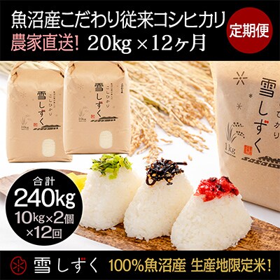【毎月定期便】魚沼産こだわり従来コシヒカリ【合計240kg】毎月20kg全12回