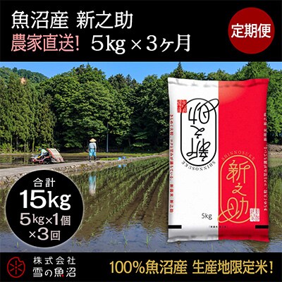 【毎月定期便】農家直送!魚沼産 新之助【合計15kg】毎月5kg  全3回