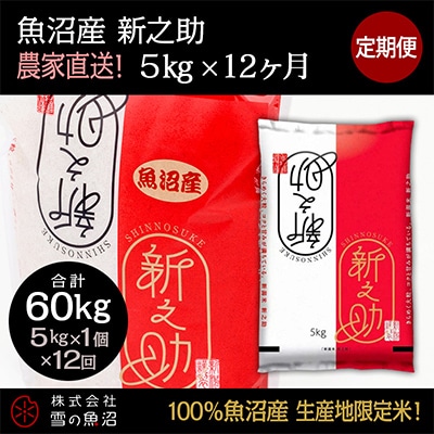 【毎月定期便】農家直送!魚沼産 新之助【合計60kg】毎月5kg全12回