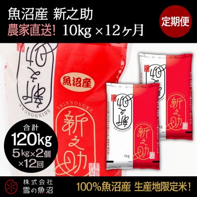 【毎月定期便】【中里地域限定!魚沼産 新之助】10kg(5kg×2袋)×12 合計120kg全12回