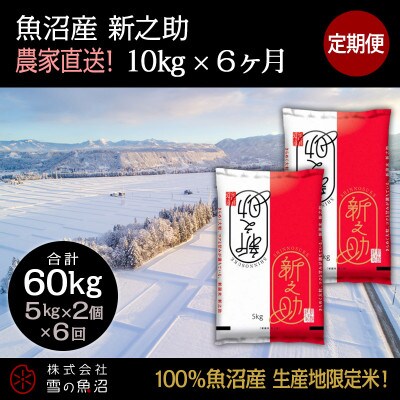 【毎月定期便】【中里地域限定!魚沼産 新之助】10kg(5kg×2袋)×6 合計60kg全6回