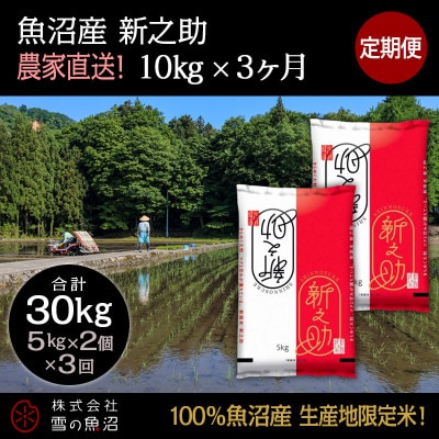 【毎月定期便】【中里地域限定!魚沼産 新之助】 10kg(5kg×2袋)×3 合計30kg全3回