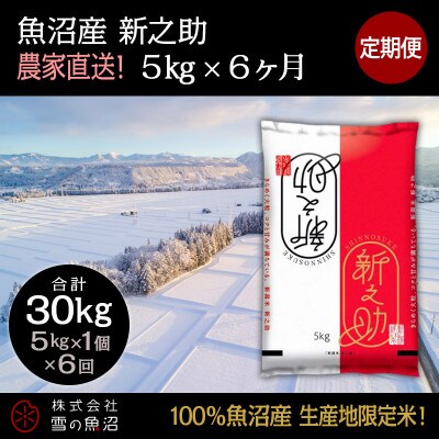 【毎月定期便】【中里地域限定!魚沼産 新之助】5kg(5kg×1袋)×6 合計30kg全6回