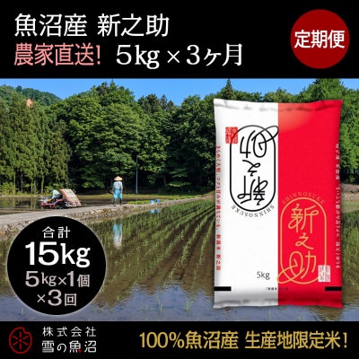 【毎月定期便】【中里地域限定!魚沼産 新之助】5kg(5kg×1袋)×3 合計15kg全3回