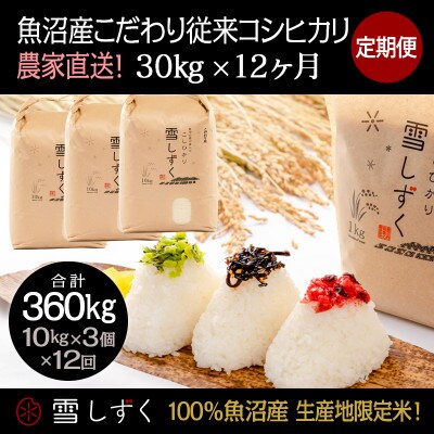 【毎月定期便】魚沼産こだわり従来コシヒカリ30kg(10kg×3袋)×12回 合計360kg全12回