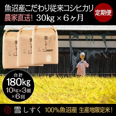 【毎月定期便】魚沼産こだわり従来コシヒカリ  30kg(10kg×3袋)×6回 合計180kg全6回