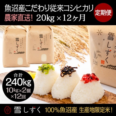 【毎月定期便】魚沼産こだわり従来コシヒカリ20kg(10kg×2袋)×12回 合計240kg全12回