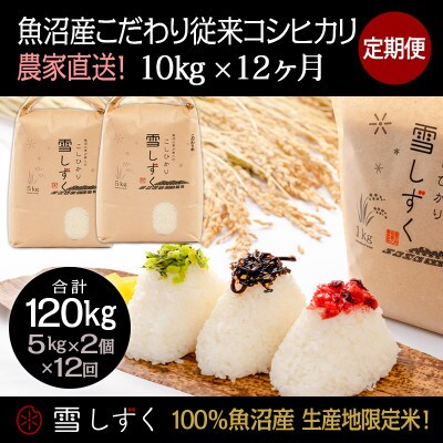 【毎月定期便】魚沼産こだわり従来コシヒカリ 10kg(5kg×2袋)×12回 合計120kg全12回