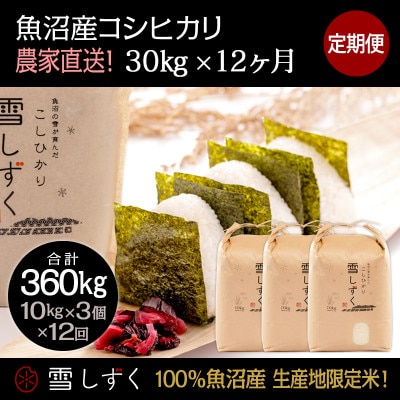 【毎月定期便】中里地域限定!魚沼産コシヒカリ30kg(10kg×3袋)×12回 計360kg全12回