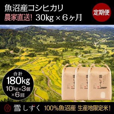 【毎月定期便】中里地域限定!魚沼産コシヒカリ30kg(10kg×3袋)×6回 合計180kg全6回