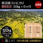 【毎月定期便】中里地域限定!魚沼産コシヒカリ 20kg(10kg×2袋)×6回 合計120kg全6回