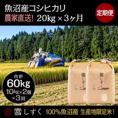 【毎月定期便】中里地域限定!魚沼産コシヒカリ20kg(10kg×2袋)×3回 合計60kg全3回