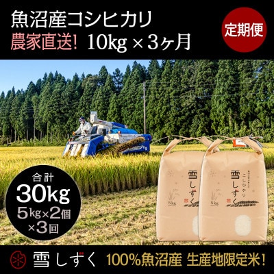 【毎月定期便】中里地域限定!魚沼産コシヒカリ10kg(5kg×2袋)×3回 合計30kg全3回