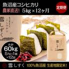 【毎月定期便】中里地域限定!魚沼産コシヒカリ 5kg(5kg×1袋)×12回 合計60kg全12回