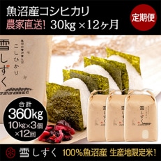 2023年5月発送開始『定期便』農家直送!魚沼産コシヒカリ【合計360kg】毎月30kg 全12回 | ふるさと納税のお礼品