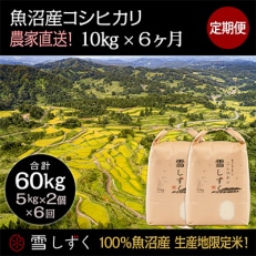 2023年5月発送開始『定期便』農家直送!魚沼産コシヒカリ【合計60kg】毎月10kg全6回 | ふるさと納税のお礼品