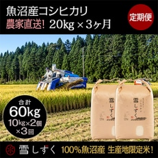 2023年5月発送開始『定期便』農家直送!魚沼産コシヒカリ【合計60kg】毎月20kg全3回 | ふるさと納税のお礼品