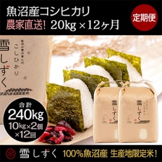 2023年5月発送開始『定期便』農家直送!魚沼産コシヒカリ【合計240kg】毎月20kg全12回 | ふるさと納税のお礼品