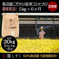 2023年5月発送開始『定期便』魚沼産こだわり従来コシヒカリ【合計30kg】毎月5kg全6回 | ふるさと納税のお礼品