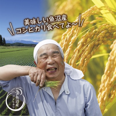 【のし付き】無洗米  魚沼産 コシヒカリ 2kg 美味しい炊き方ガイド付