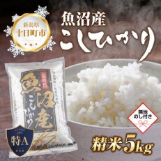 【のし付き】 魚沼産 コシヒカリ 5kg  美味しい炊き方ガイド付き