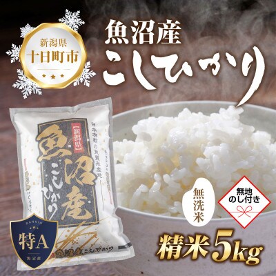 【のし付き】無洗米 魚沼産 コシヒカリ 5kg 美味しい炊き方ガイド付