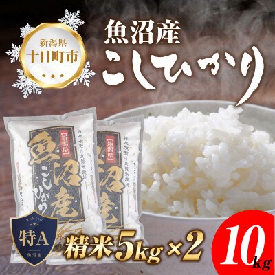 【新米 先行受付】 魚沼産 コシヒカリ 5kg ×2 計10kg 美味しい炊き方ガイド付