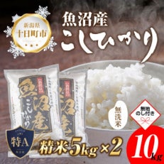 【のし付き】無洗米  魚沼産 コシヒカリ 5kg×2袋  炊き方ガイド付