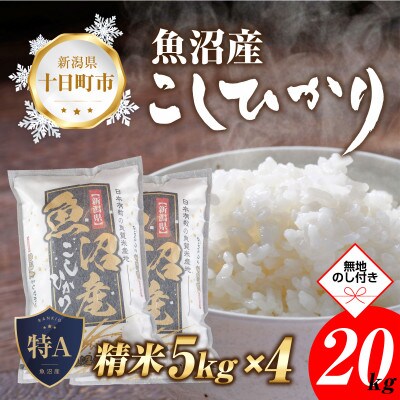 【のし付き】【新米 先行受付】 魚沼産 コシヒカリ 20kg 美味しい炊き方ガイド付き