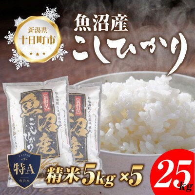 【新米 先行受付】 魚沼産 コシヒカリ 25kg こしひかり 美味い炊き方ガイド付