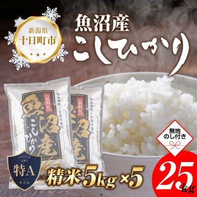 【のし付き】【新米 先行受付】 魚沼産 コシヒカリ 25kg 美味い炊き方ガイド付