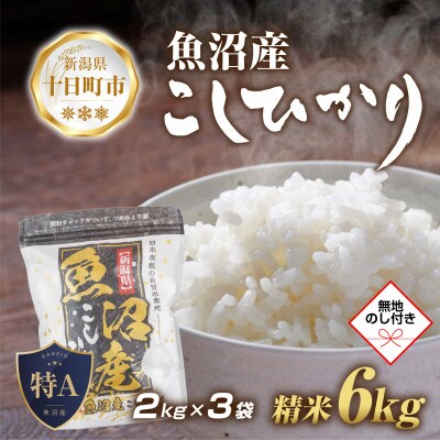 【新米先行予約】無地熨斗 魚沼産 コシヒカリ 2kg×3袋 計6kg(美味しい炊き方ガイド付き)