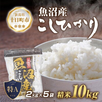 【新米先行予約】 魚沼産 コシヒカリ 2kg×5袋 計10kg(お米の美味しい炊き方ガイド付き)