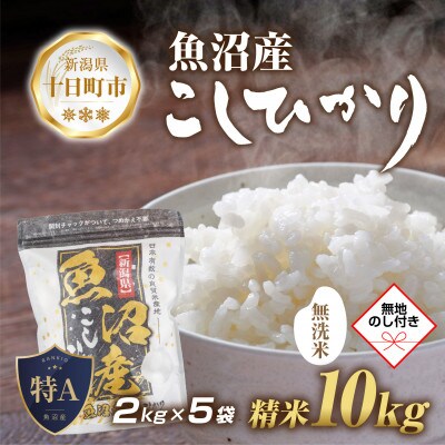 【新米先行予約】無地熨斗 無洗米 魚沼産コシヒカリ 2kg×5袋計10kg(美味しい炊き方ガイド付)
