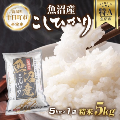 魚沼産 コシヒカリ 5kg(お米の美味しい炊き方ガイド付き)