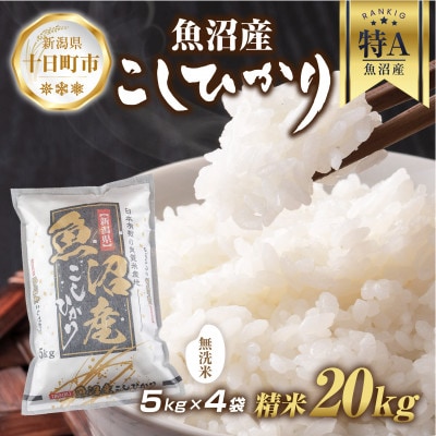 無洗米 魚沼産 コシヒカリ 5kg×4袋 計20kg(お米の美味しい炊き方ガイド付)