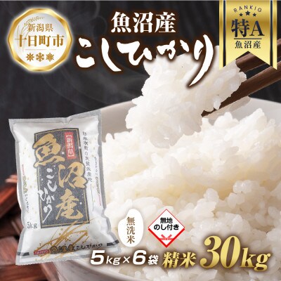 【無地熨斗】無洗米 魚沼産 コシヒカリ 5kg×6袋 計30kg(美味しい炊き方ガイド付き)