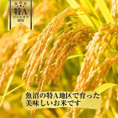 新潟県魚沼産 備蓄 コシヒカリ 200g×30 パックごはん 無添加