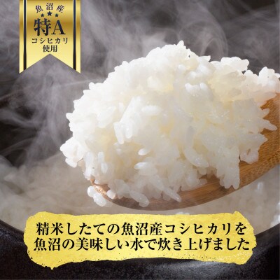 新潟県魚沼産 備蓄 コシヒカリ 200g×50 パックごはん 無添加