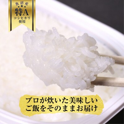 新潟県魚沼産 備蓄 コシヒカリ 200g×50 パックごはん 無添加