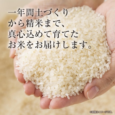 【無地のし】令和7年産 魚沼産 コシヒカリ 15kg (お米の美味しい炊き方ガイド付き)