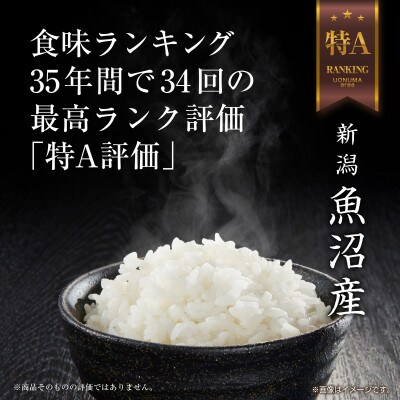 無洗米 令和7年産 魚沼産 コシヒカリ 8kg (お米の美味しい炊き方ガイド付き)