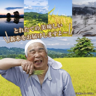 【無地のし】令和7年産 新潟県 魚沼産 コシヒカリ 2kg×5袋 計 10kg