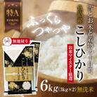 【無地のし】 無洗米 魚沼産 コシヒカリ 3kg ×2袋 計 6kg 新潟県 炊き方ガイド付き