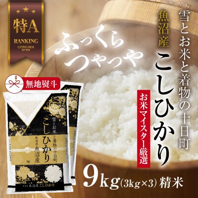 【無地のし】 魚沼産 コシヒカリ 3kg ×3袋 計 9kg 新潟県 美味しい炊き方ガイド付き