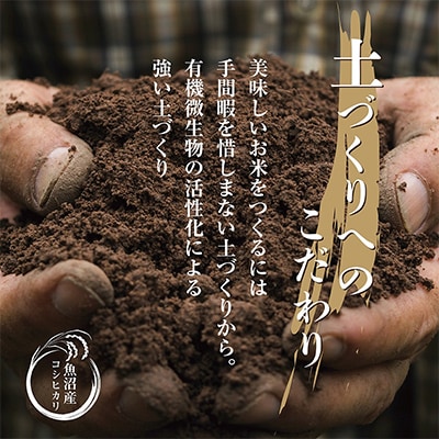 魚沼産 コシヒカリ 2kg 精米 天神囃子 特別本醸造酒 720ml 魚沼酒造 【複数個口で配送】