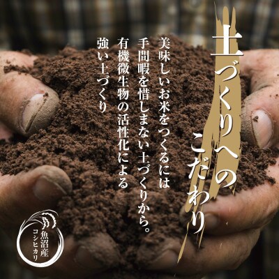 【毎月定期便】魚沼産 コシヒカリ 20kg 精米 (お米の美味しい炊き方ガイド付)全12回