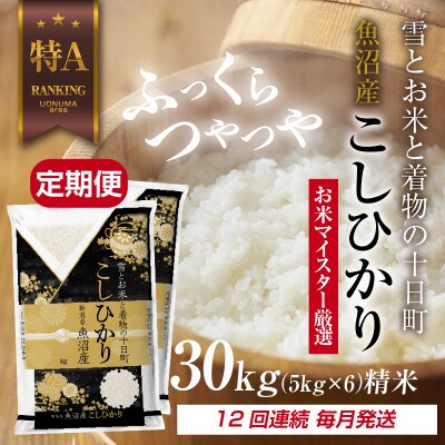 【毎月定期便】魚沼産 コシヒカリ 30kg 精米 (お米の美味しい炊き方ガイド付)全12回